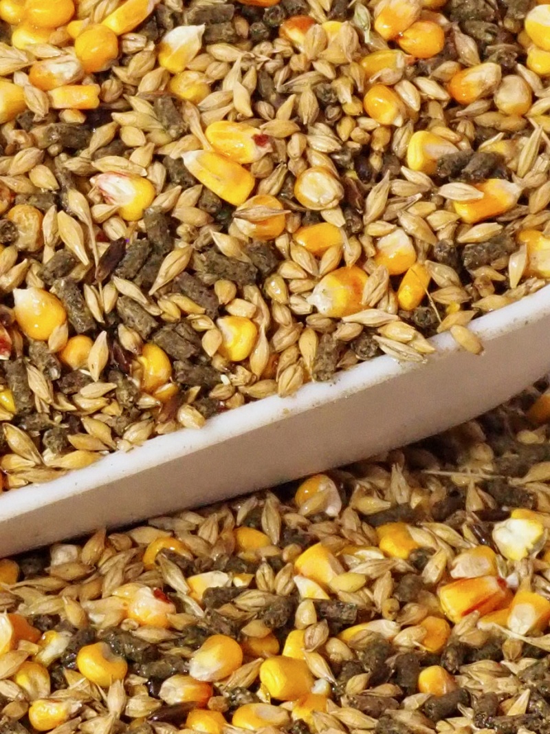 Mélange de Céréales pour Lapin Flocon 20kg - Gamm vert